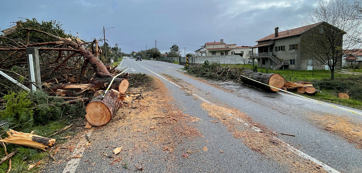 Imagem - Condicionamento rede rodoviária
