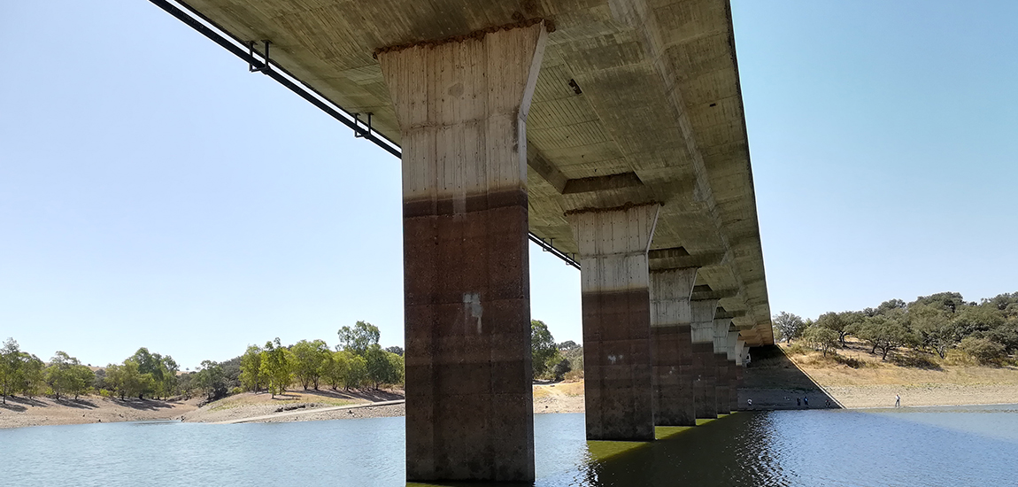 Imagem - Trabalhos Reabilitação