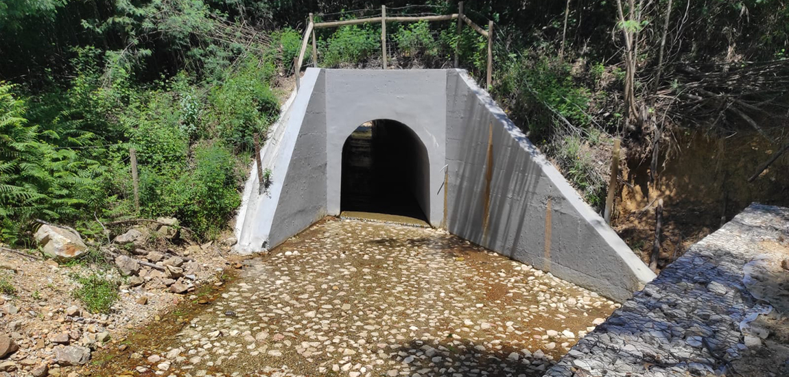 Imagem da PH na EN241