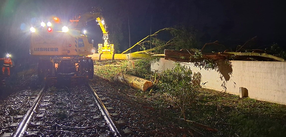 Mobilização de meios no terreno