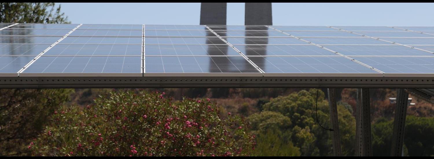 Reporte de Sustentabilidade