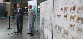 Imagem do Presidente da IP e Presidente da CIMBAL na inauguração da Exposição na Estação ferroviária do Rossio sobre a preservação do lince-ibérico